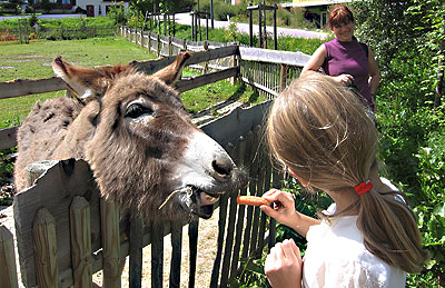 Foto: Beziehung zu Tieren