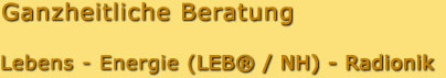 Ganzheitliche Beratung Lebens-Energie